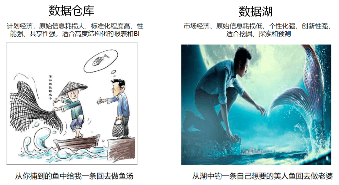 数据湖和数据仓库的区别,湖仓一体,数据湖和数据仓库,数据入湖