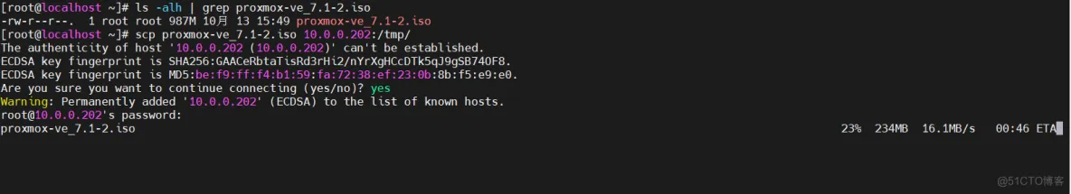 Zerotier 搭建私有根服务器及创建虚拟局域网完整教程_docker_12